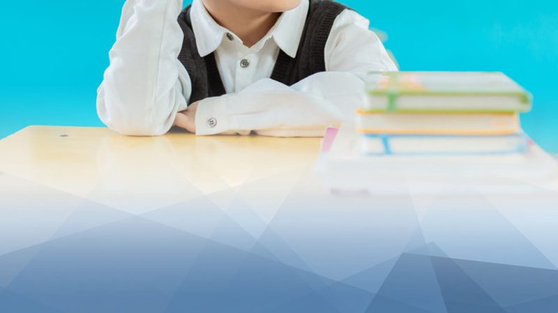 少儿编程网课适合初学者吗