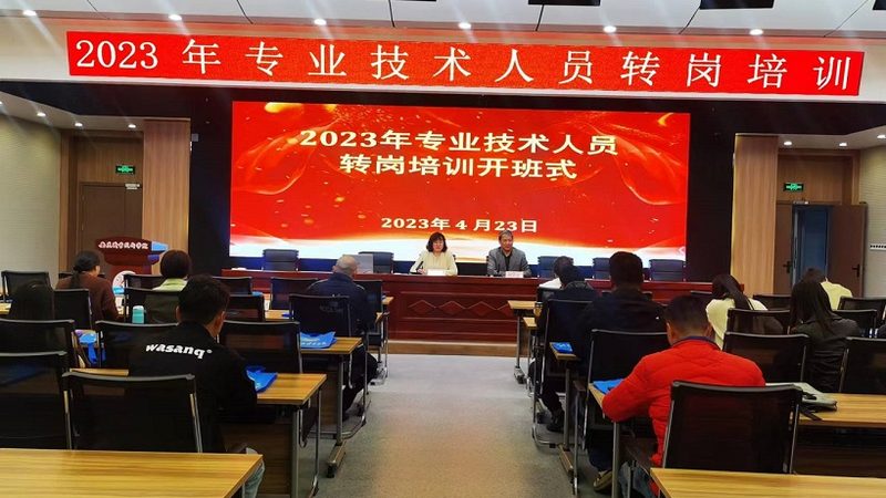 定制课：个性化教学，培养编程思维